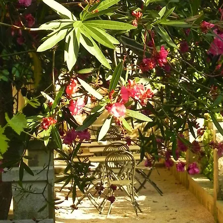 Palazzo Guglielmo 4*